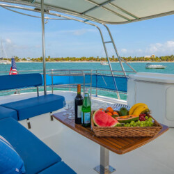 Catamaran Fountaine Pajot 47 Aeolus Miami 25